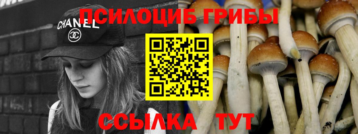 Псилоцибиновые грибы Cubensis  Псилоцибиновые грибы MAGIC MUSHROOMS  Йошкар-Ола  Вход с VPN 